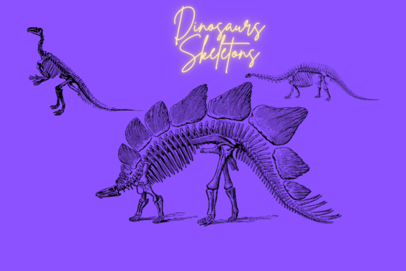 Unique Dinosaur Skeletons Collection Review